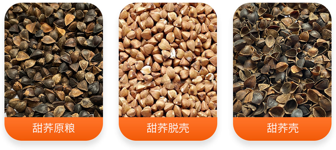 甜蕎脫殼成套設(shè)備產(chǎn)成品圖