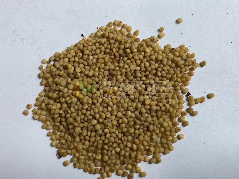 脫皮后的紫蘇籽 脫皮后的紫蘇籽