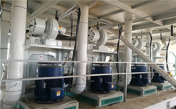 青稞加工生產(chǎn)線實(shí)拍圖片