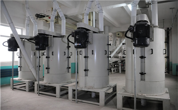 玉米提胚成套設(shè)備實拍圖片