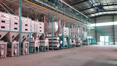 色選機在選糙米工段的應用