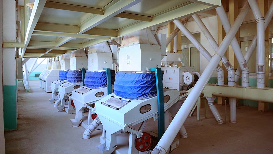 玉米聯(lián)產(chǎn)（制糝、制粉、提胚芽）成套方案