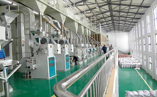 小米高粱加工生產(chǎn)線實(shí)拍圖片