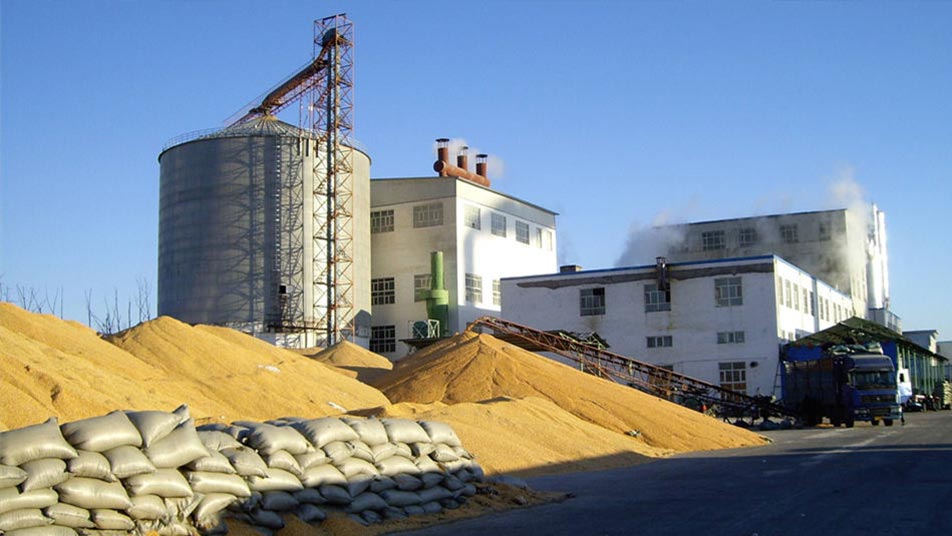 乙醇酒精廠(chǎng)提胚生產(chǎn)線(xiàn)