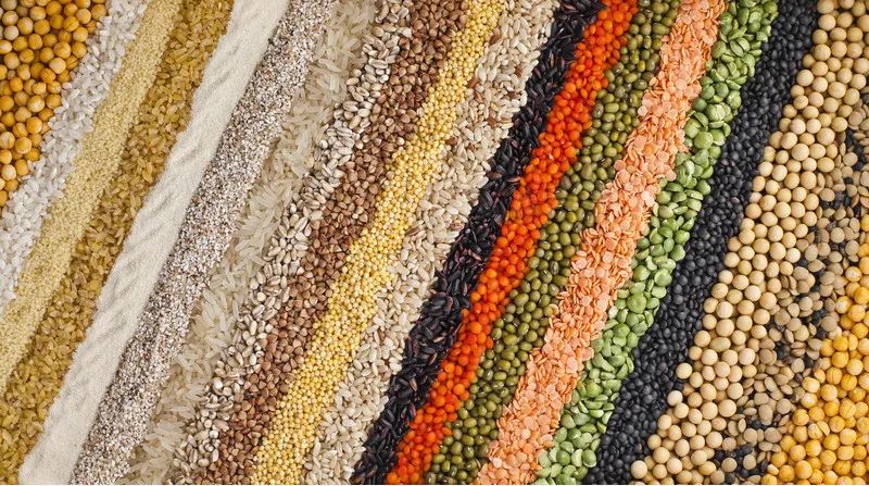 小雜糧有大營養(yǎng)，華豫萬通糧機(jī)——專注加工好每一粒谷物