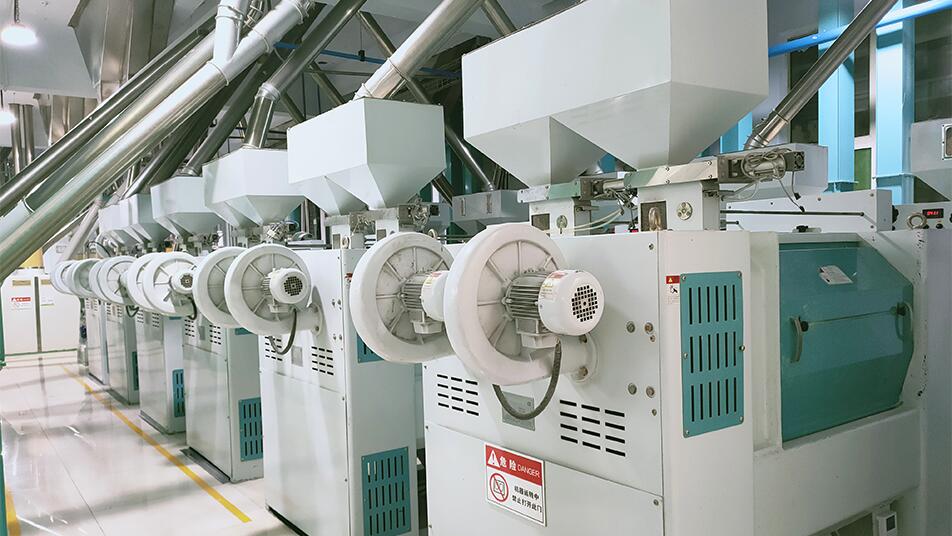 現(xiàn)代化玉米粉加工成套方案