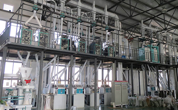 豆類制粉成套設(shè)備（全干法）實拍圖片