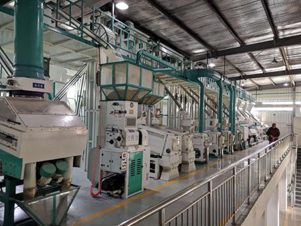 藜麥加工生產(chǎn)線實(shí)拍圖片