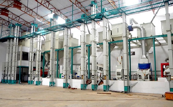 小米加工成套設(shè)備實(shí)拍圖片