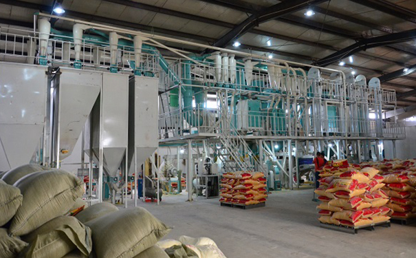 鋼架式玉米制糝制粉成套設(shè)備實(shí)拍圖片