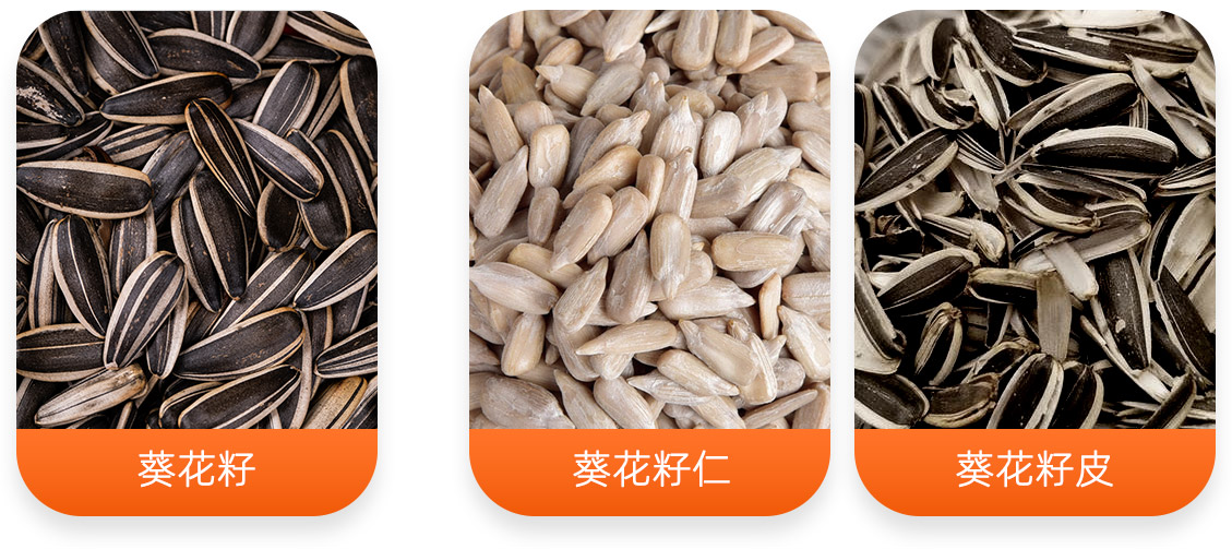葵花籽脫殼成套設備產(chǎn)成品圖