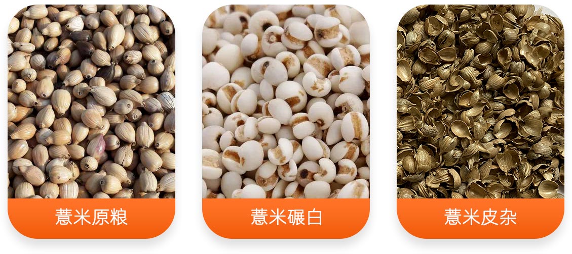 薏米加工成套設備產(chǎn)成品圖