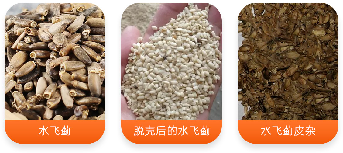 水飛薊脫殼成套設(shè)備產(chǎn)成品圖