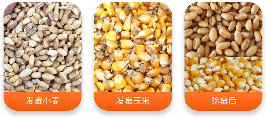 智能小麥玉米真菌毒素消減機(jī)產(chǎn)成品圖