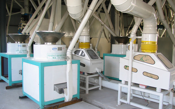 苦蕎茶成套加工設(shè)備實(shí)拍圖片