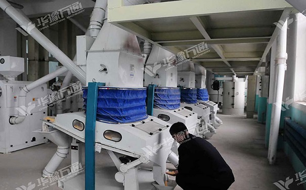 YMTPX系列吸式比重玉米選胚機(jī)實(shí)拍圖片